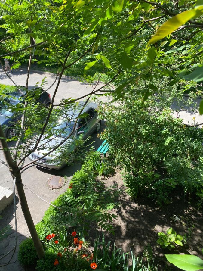 В Самом Центре 미르호로드 외부 사진